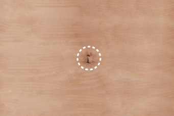 5mm程度の小節・葉節