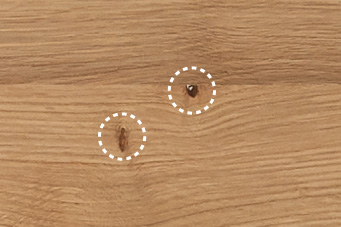 8mm程度の小節・葉節