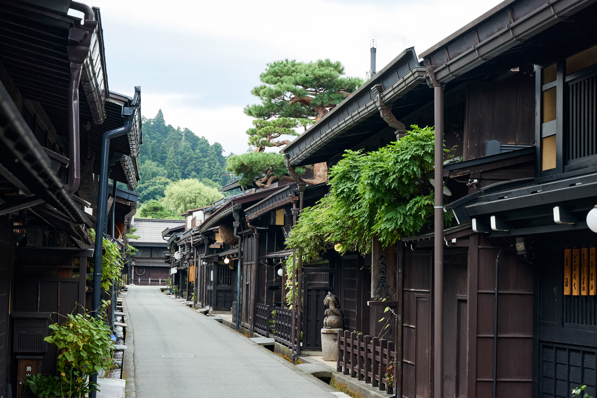 takayama