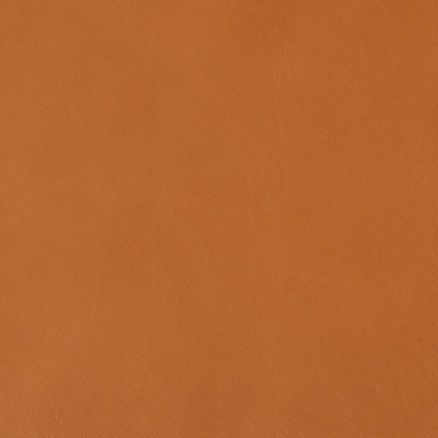 SN05 (exclusive leather)<