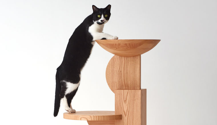 設計事務所imaとのコラボレーションによる猫のための家具「medel（メデル）」