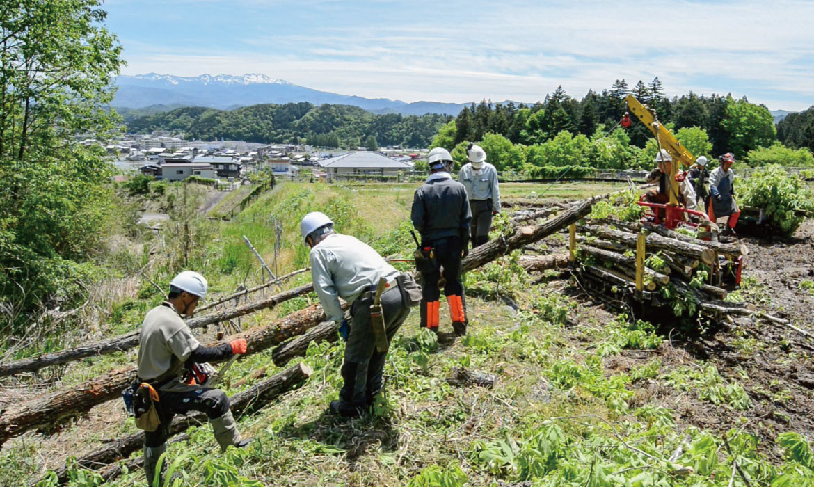 梢照明 | 飛騨産業株式会社【公式】 | 飛騨の家具、国産家具